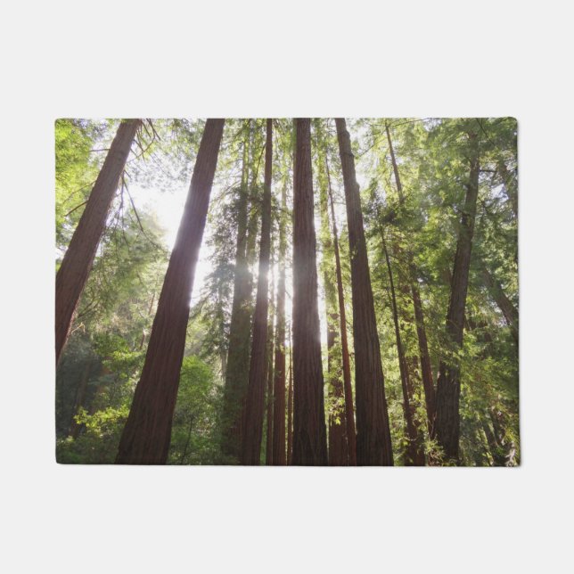 Paillasson Jusqu'aux séquoias du matin (Devant)