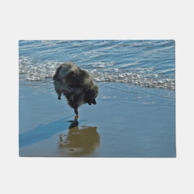 Paillasson Keeshond Ballet Photographie - Joli chien d'origin (Devant)