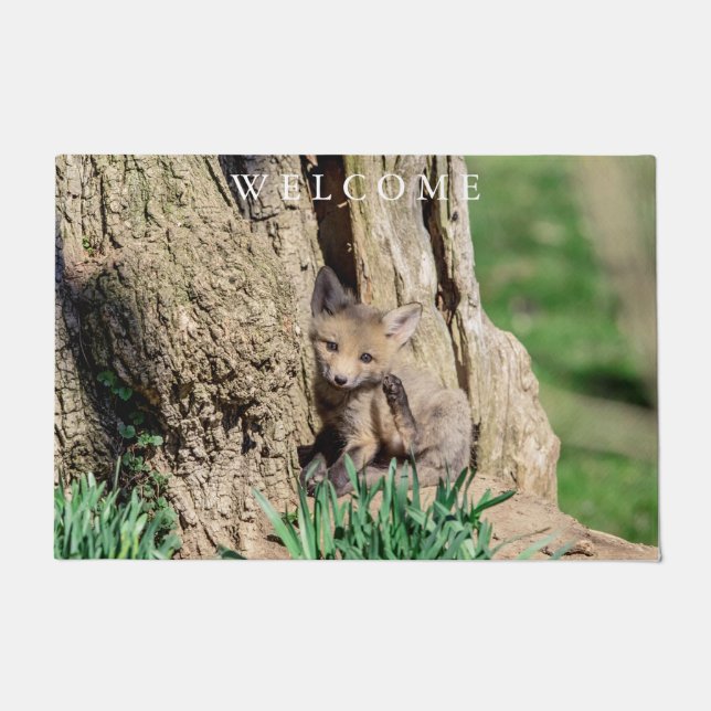 Paillasson Kit Fox dans la vallée de l'Hudson (Devant)