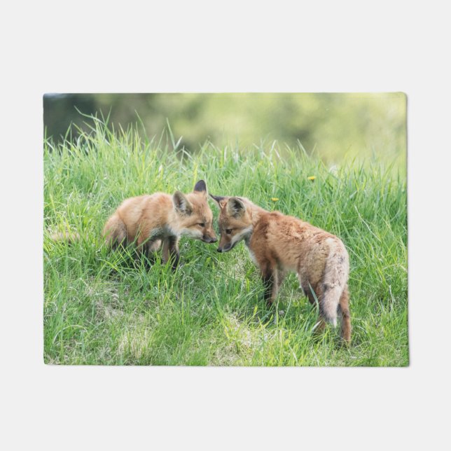 Paillasson Kits Red Fox (Devant)