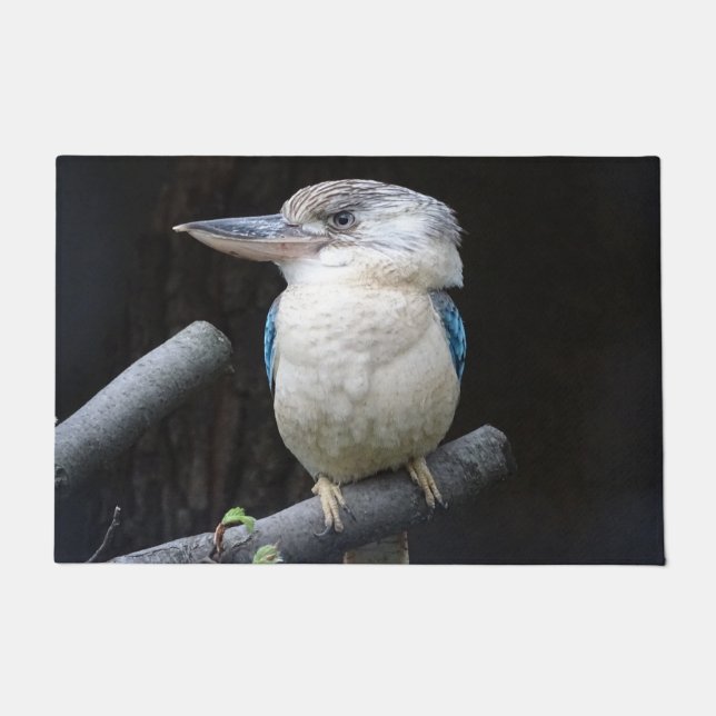 Paillasson Kookaburra à ailes bleues (Devant)
