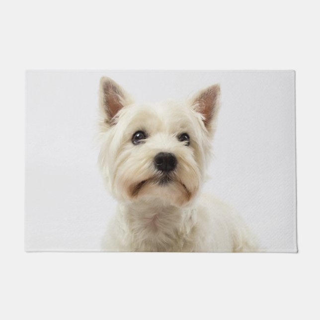 Paillasson L'adorable Terrier de White West Highland (Devant)