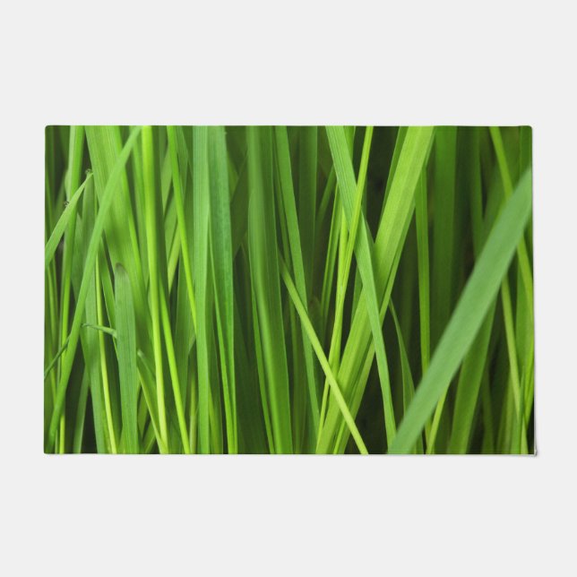Paillasson Lames d'herbe (Devant)