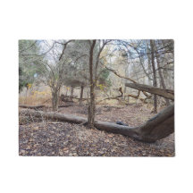 L'arbre de la nature