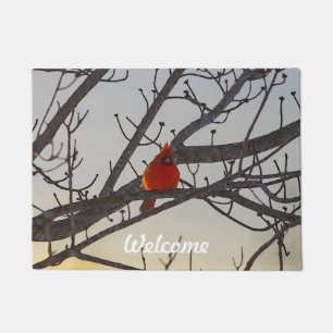 Paillasson Le cardinal pendant le matin