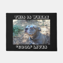 Le cool frais de personnes poursuit la natte