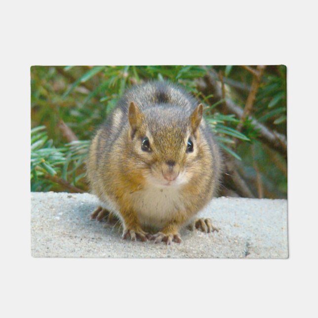 Paillasson Le Cute Chipmunk A L'Oeil Sur Vous (Devant)