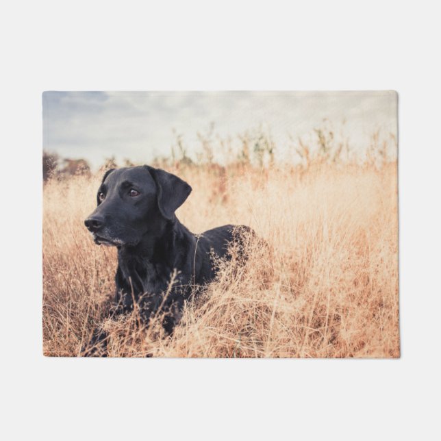 Paillasson Le Labrador Noir En Graine Sèche (Devant)
