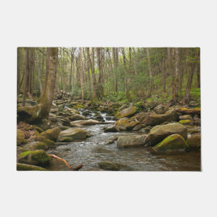 Paillasson Le ruisseau Le Conte dans les montagnes Great Smok