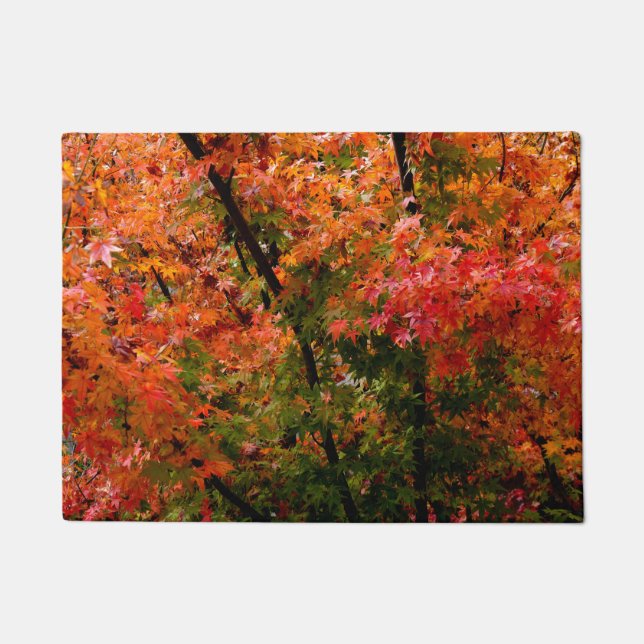 Paillasson L'érable japonais à l'automne (Devant)