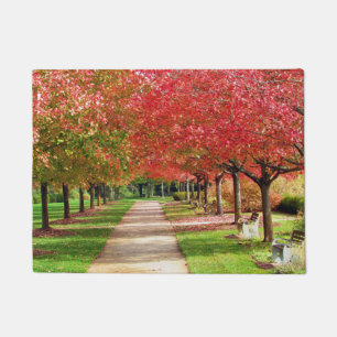 Paillasson Les arbres d'automne sur le chemin
