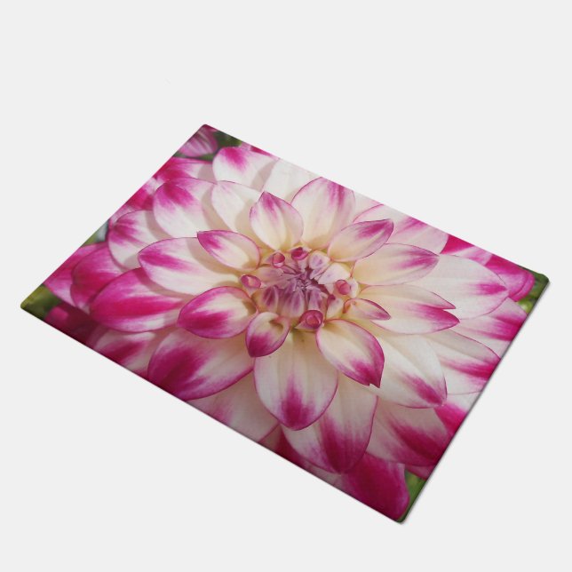 Paillasson Les Beaux (Incliné)