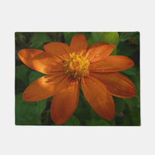 Paillasson Lever de soleil sur la fleur orange de tournesol m