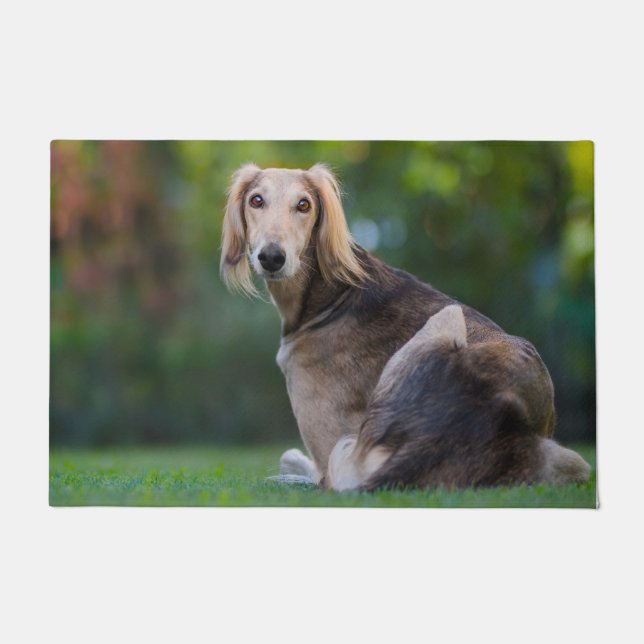 Paillasson Lévrier Saluki. (Devant)