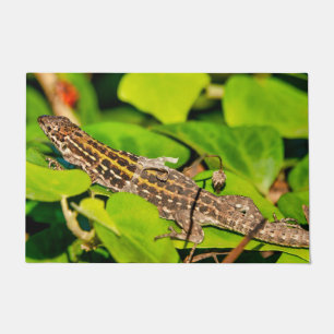 Paillasson Lézard italien