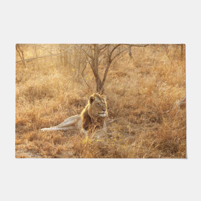 Paillasson Lion (Devant)