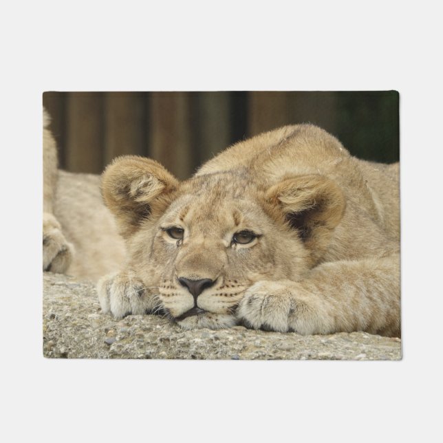 Paillasson Lion 040 (Devant)