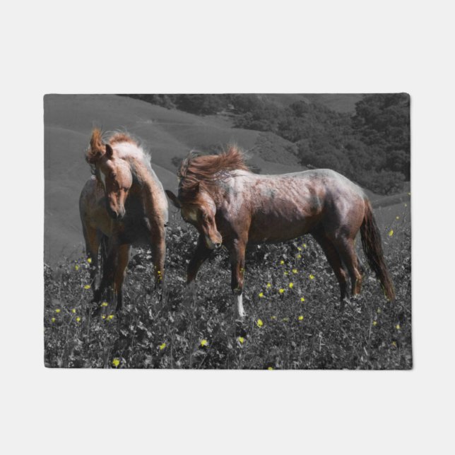 Paillasson Longeron d'étalon (Devant)