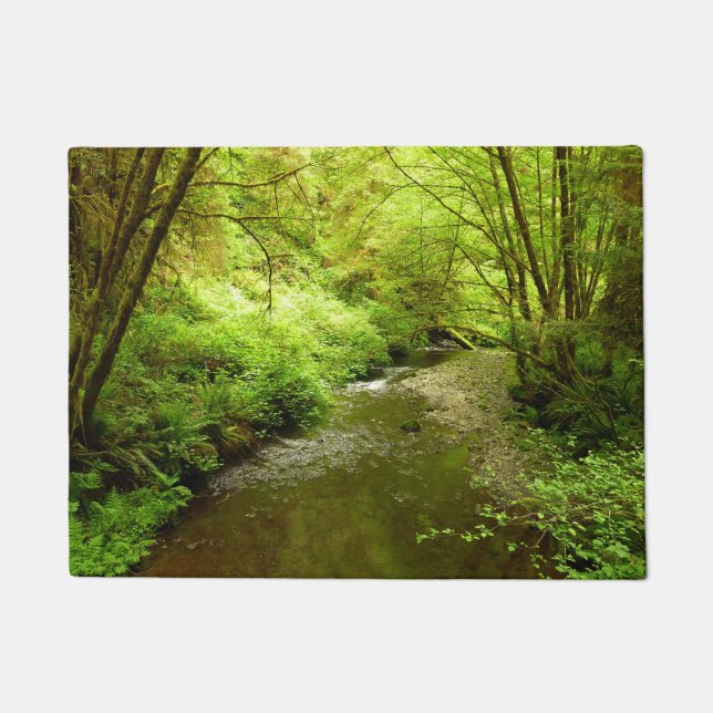 Paillasson Lost Man Creek I au Redwood National Park (Devant)