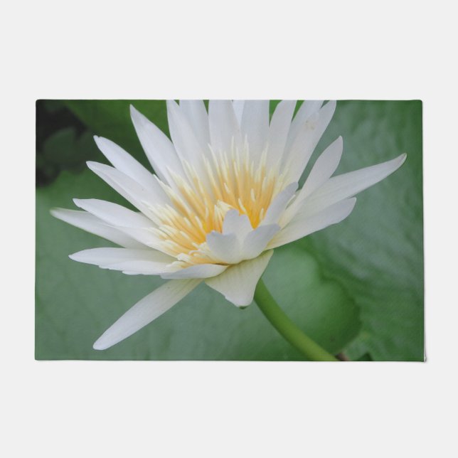 Paillasson Lotus, Namaste, méditation, zen, boutiques, plante (Devant)