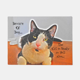 Paillasson louche de chat