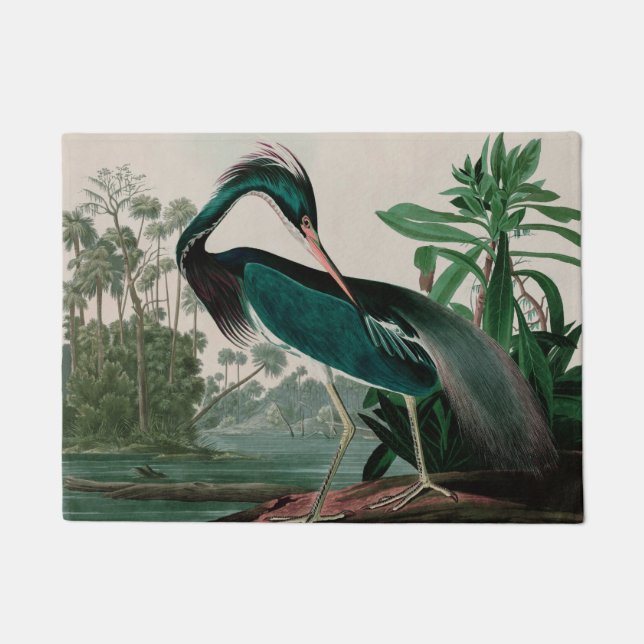 Paillasson Louisiana Heron Birds of America Audubon Imprimer (Devant)