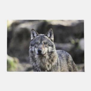 Paillasson Loup gris