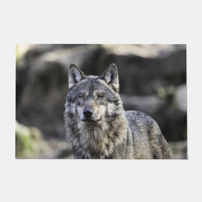 Paillasson Loup gris (Devant)