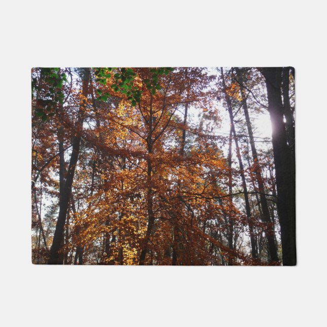 Paillasson Lumière du soleil à travers un arbre en automne à  (Devant)