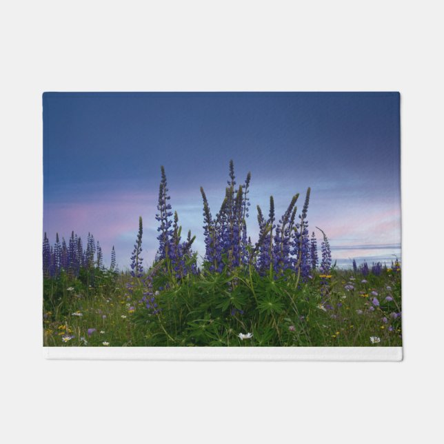 Paillasson Lupins   (Devant)