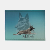 Malinois - berger belge - Mechelaar