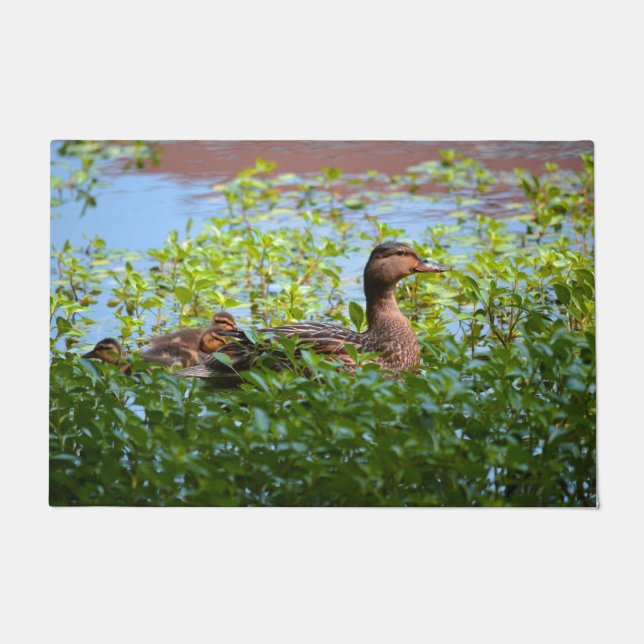 Paillasson Mallard and Ducklings-Swimming by Shirley Taylor (Devant)