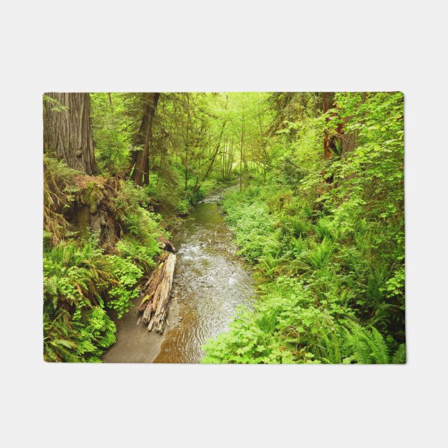 Paillasson Man Creek II perdu dans le parc national Redwood (Devant)
