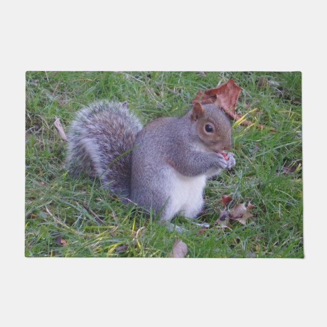 Paillasson Mat de porte d'écureuil (Devant)