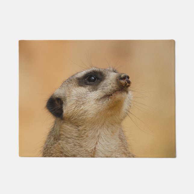 Paillasson Meerkat 011 (Devant)