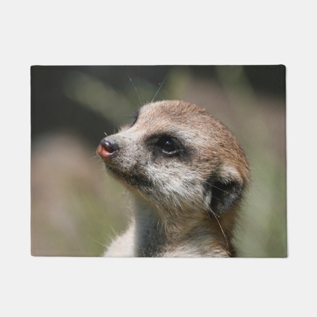 Paillasson Meerkat 014 (Devant)