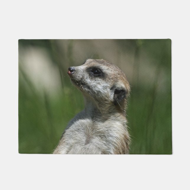 Paillasson Meerkat 015 (Devant)