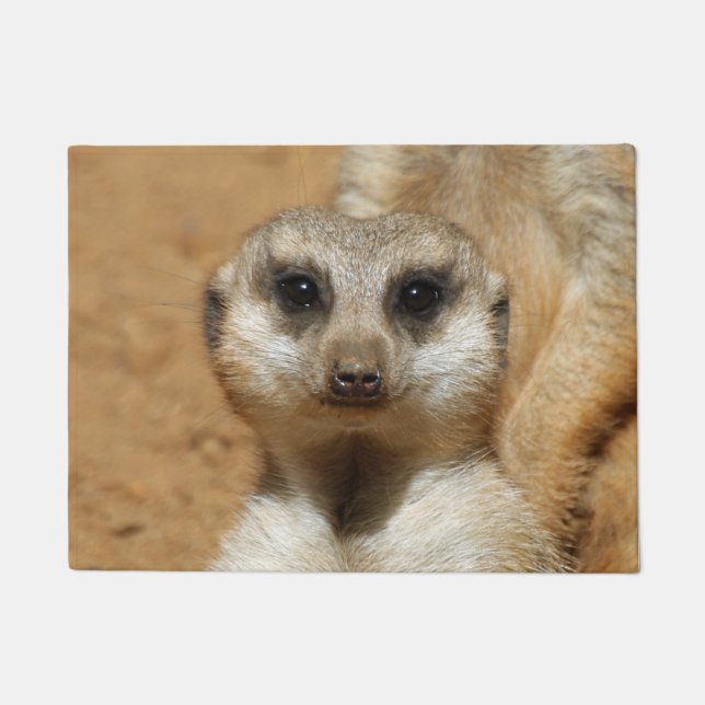Paillasson Meerkat 016 (Devant)