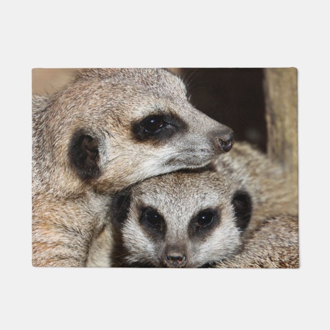 Paillasson Meerkat 019 (Devant)