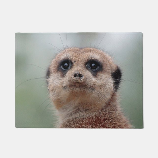 Paillasson Meerkat 020 (Devant)