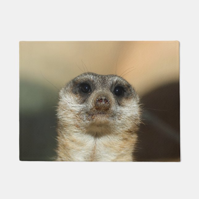 Paillasson Meerkat 023 (Devant)