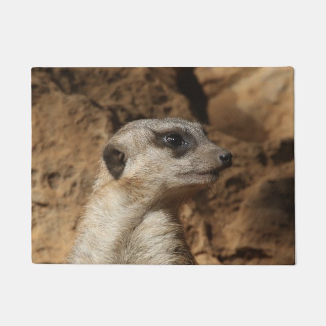 Paillasson Meerkat 029 (Devant)