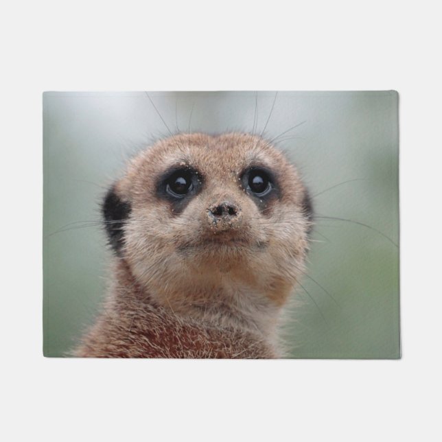 Paillasson Meerkat 036 (Devant)