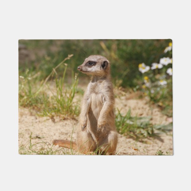 Paillasson Meerkat 038 (Devant)