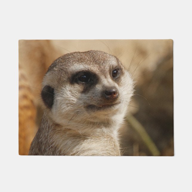 Paillasson Meerkat 041 (Devant)