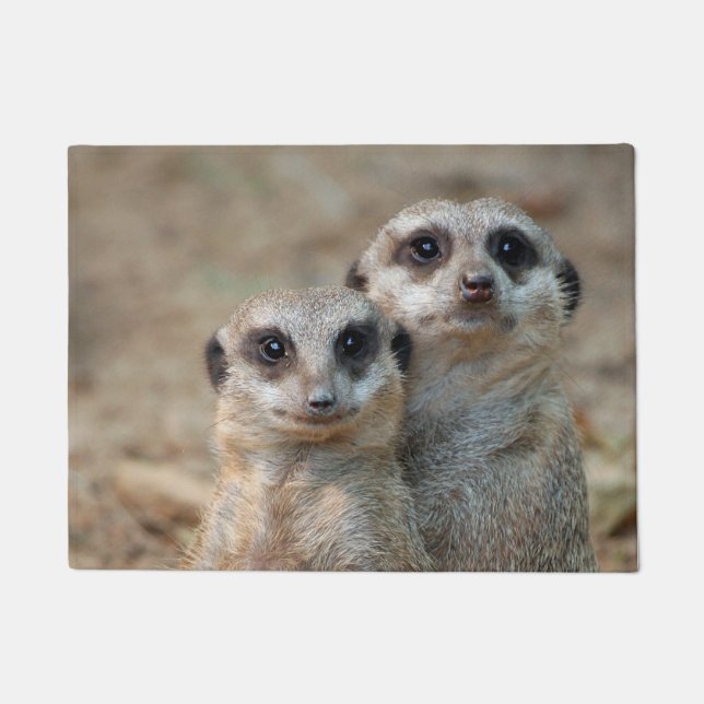 Paillasson Meerkat 047 (Devant)