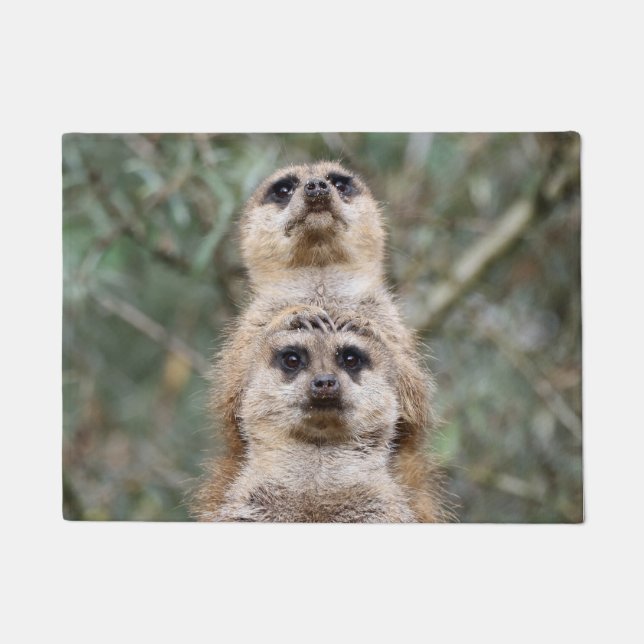 Paillasson Meerkat 081 (Devant)