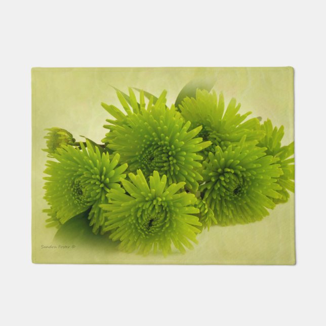 Paillasson Mères vertes  (Devant)