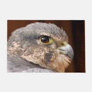 PAILLASSON MERLIN FALCON OISEAU DE PREY