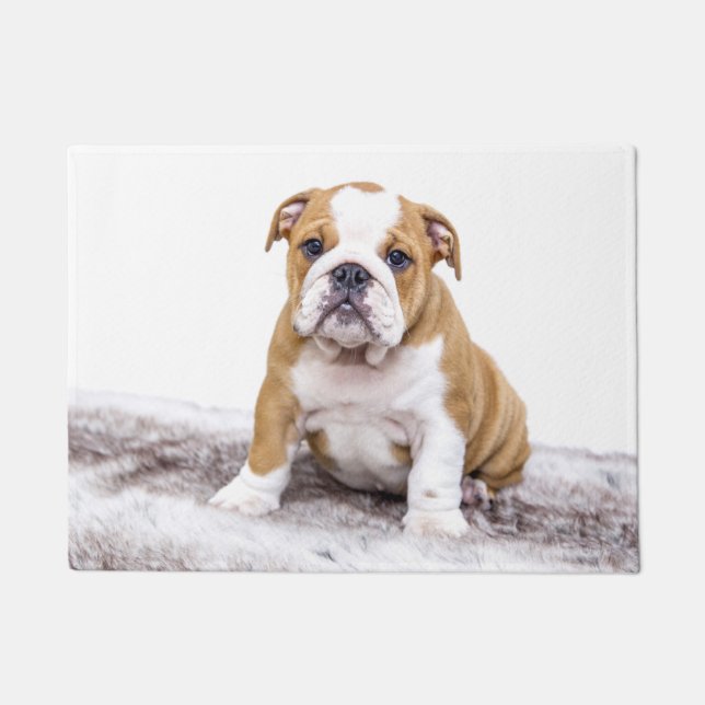 Paillasson Mignon chiot bouledogue (Devant)